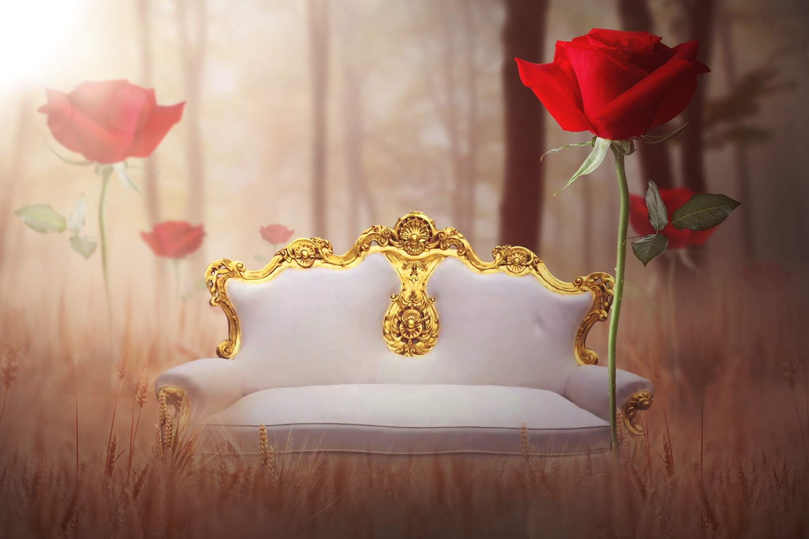 12x18 Wedding Album Psd Free Download